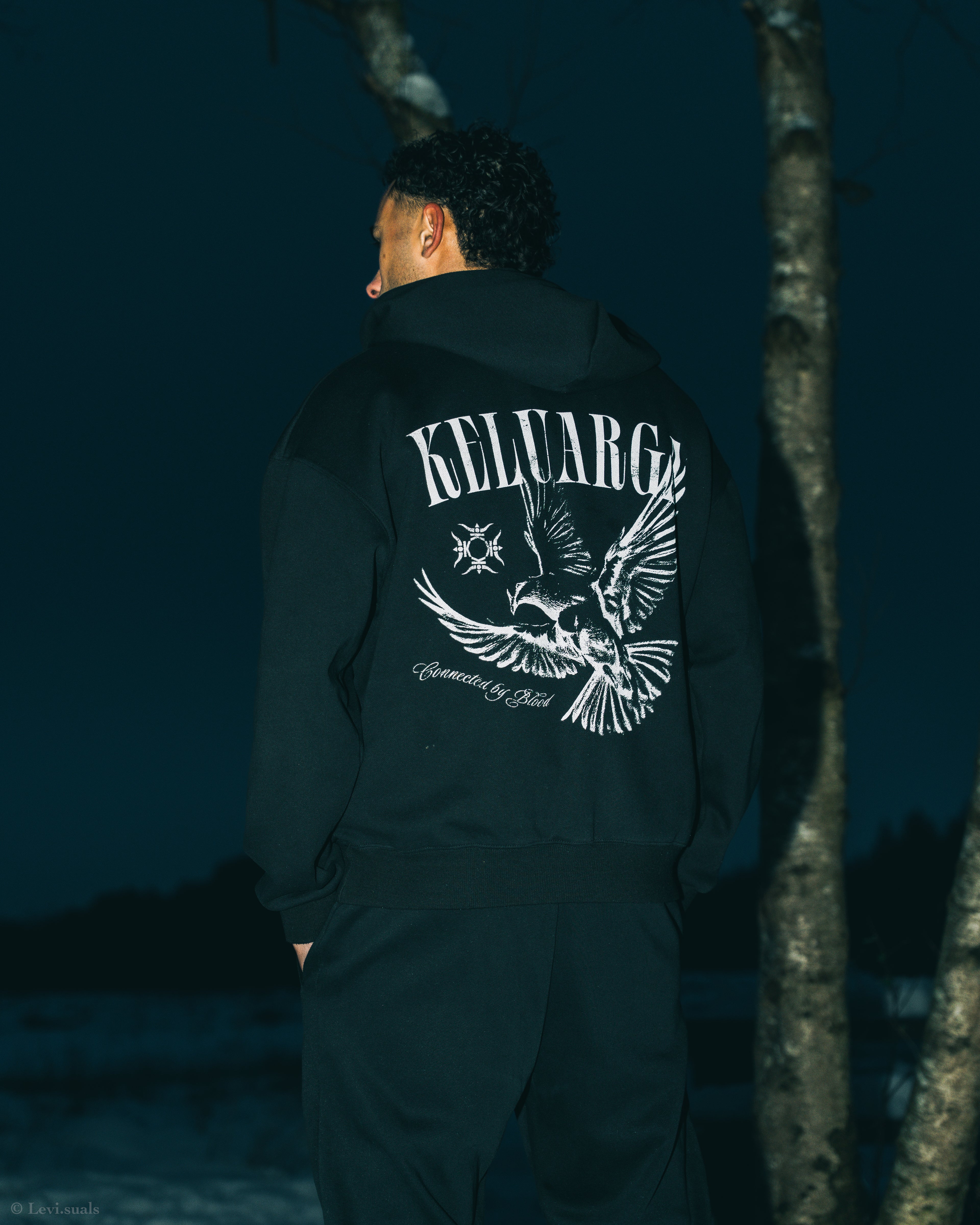 WINGS OF UNITY HOODIE